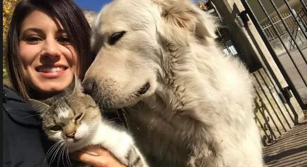 Free Miro, l’On Brambilla in campo per il cane sequestrato perchè abbaia troppo