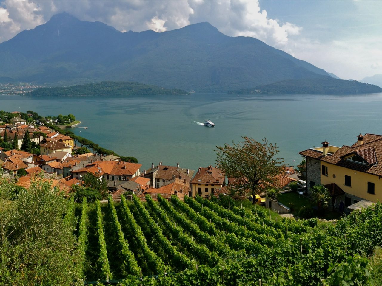 Vinitaly ribalta mondiale per l’Igt Terre Lariane