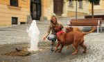 "100 cani in passerella" esposizione canina di Penta Mariano