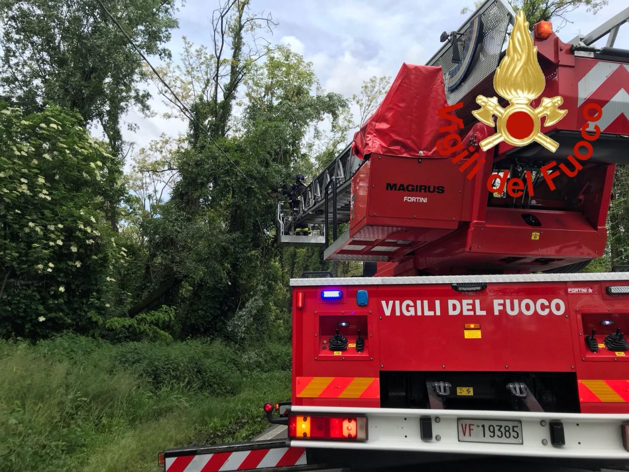 Alberi pericolanti intervengono i Vigili del Fuoco FOTO