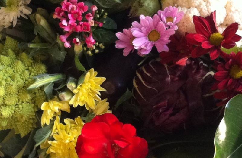 Botanica e fitoalimurgia in biblioteca