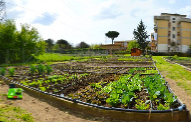Orti urbani: Como seconda in Lombardia
