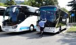 Bus turistici in zona stadio: il Codacons attacca