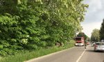 Traffico rallentato sulla Lomazzo- Bizzarone