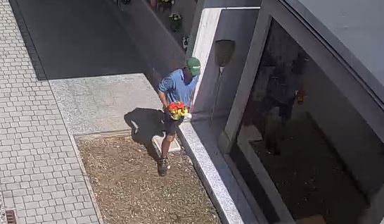 Ruba i fiori al cimitero filmato dalla telecamera