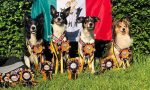 World Agility trionfo per il presidente di un'associazione canturina