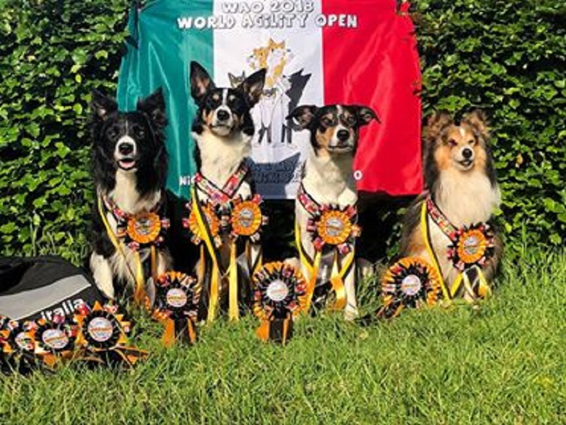 World Agility trionfo per il presidente di un’associazione canturina