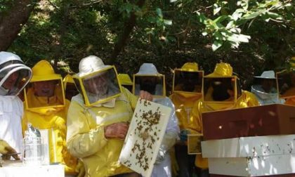 Passeggiata creativa a Como alla scoperta dell'apicoltura