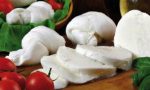 Mozzarella di bufala contaminata da Listeria