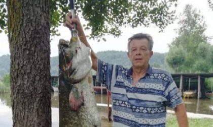Pesce record ad Alserio: un siluro da 40 kg