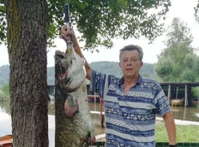 Pesce record ad Alserio: un siluro da 40 kg