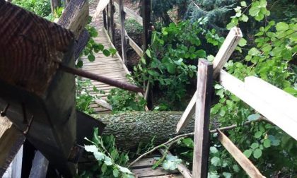 Maltempo Cabiate danni al parco regionale delle Groane FOTO