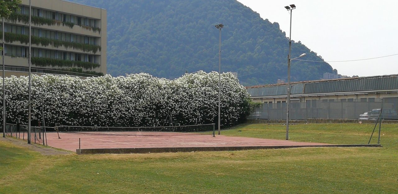 Nuova vita per il parco di via Traù: pronto un progetto da 100mila euro