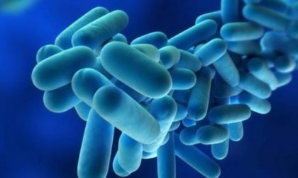 Legionella in Lombardia