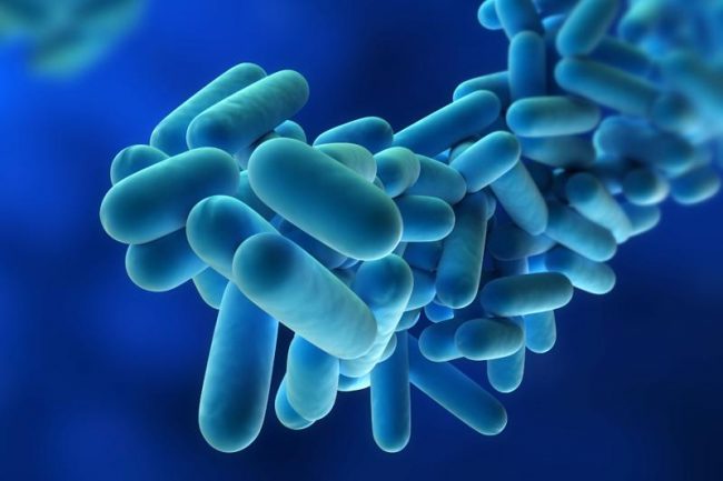 Legionella, torna la paura in Lombardia. L’assessore al Welfare rassicura: “Tutto sotto controllo”