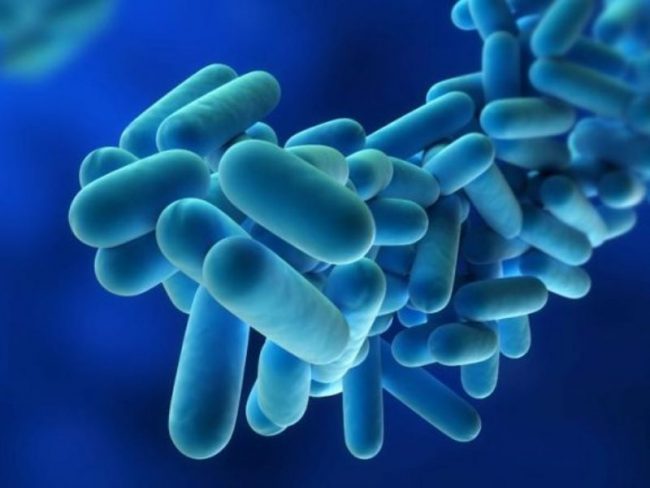 Legionella in Lombardia