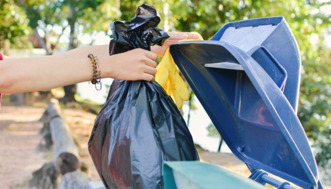 Annunciate le chiusure del servizio di raccolta rifiuti: ecco quando e come  si recupera - Prima Como