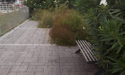 Passeggiata Amici di Como in degrado: l'attacco di Svolta Civica all'Amministrazione