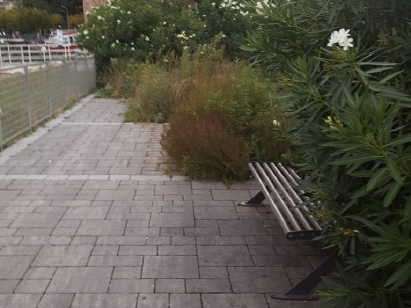Passeggiata Amici di Como in degrado: l’attacco di Svolta Civica all’Amministrazione