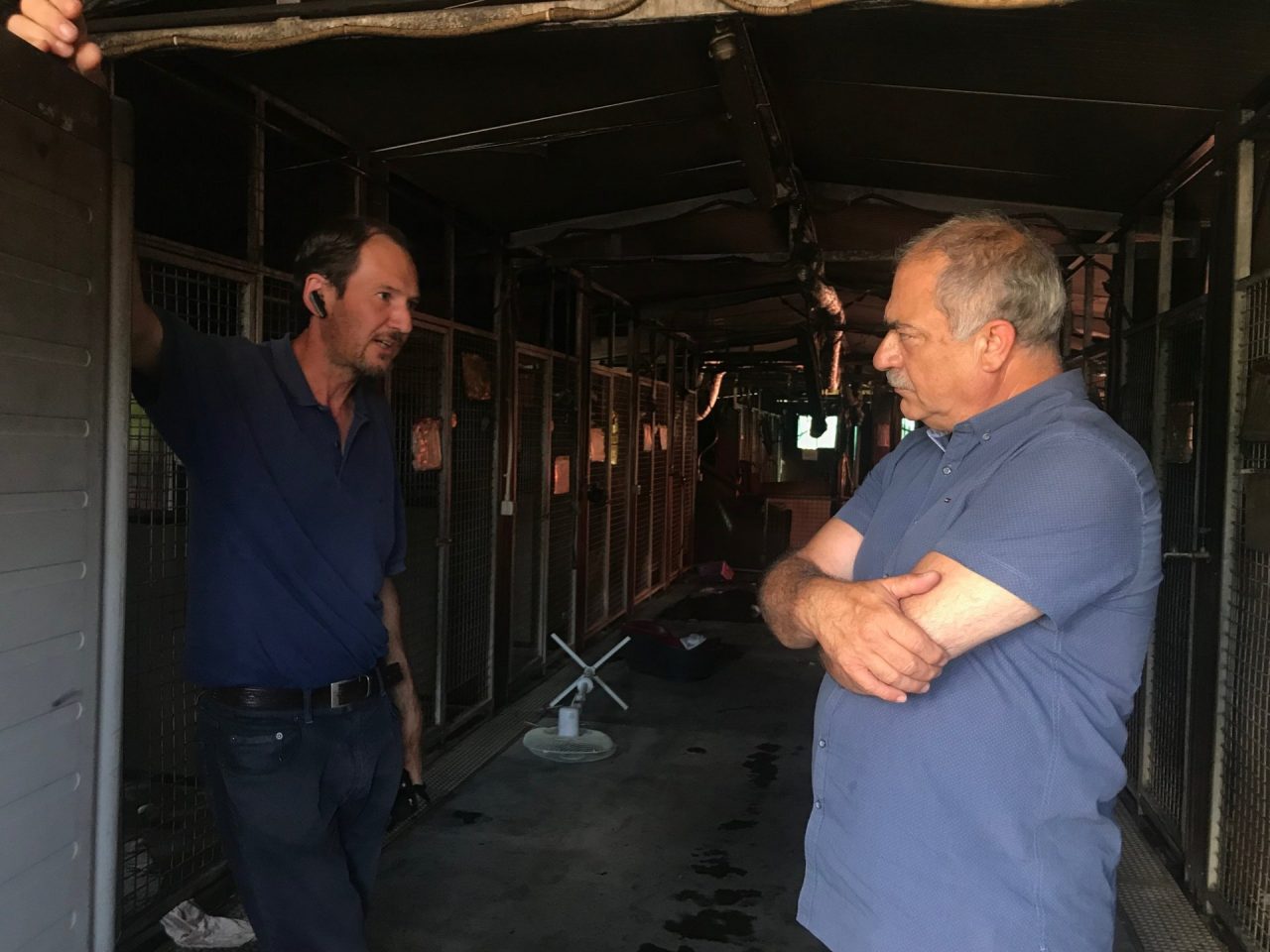 Canile Valbasca: il sindaco Landriscina in visita