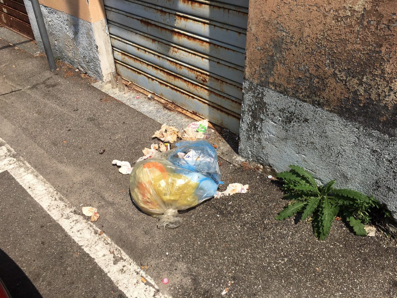 Rifiuti abbandonati in piazza