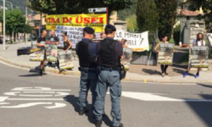 Fiera degli uccelli a Canzo: animalisti in protesta