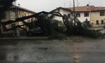 Maltempo, paura a Cabiate: albero cade sull'auto FOTO