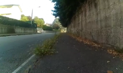 Incuria a Cantù: la denuncia del M5S VIDEO