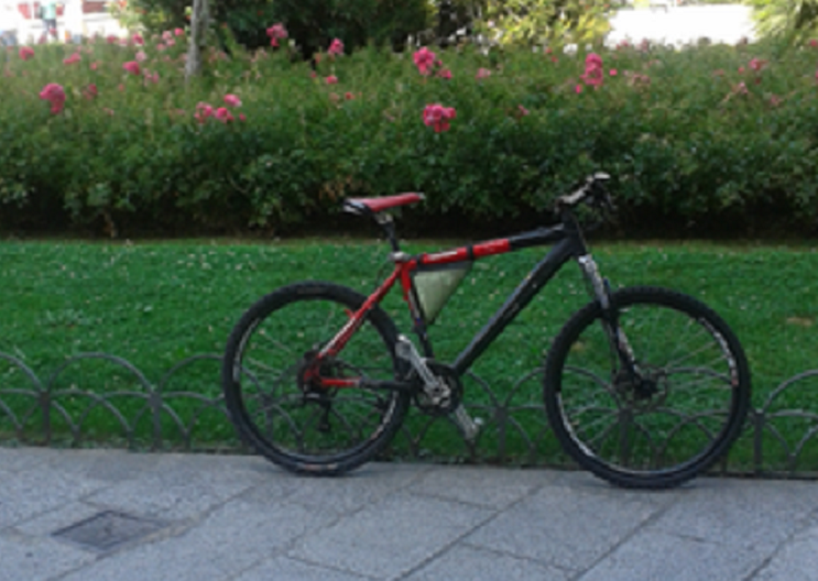 Ciclismo in sella con “Iovadoinbici” un semplice decalogo valido per tutti