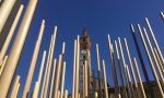 Festival del Legno in piazza Garibaldi ecco la Radura FOTO e TUTTO IL PROGRAMMA