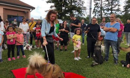 Sfilata di cani idea vincente premiata dal pubblico VIDEO