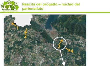 Bosco di San Martino "Central Park" comasco: il progetto che punta ai fondi di Fondazione Cariplo
