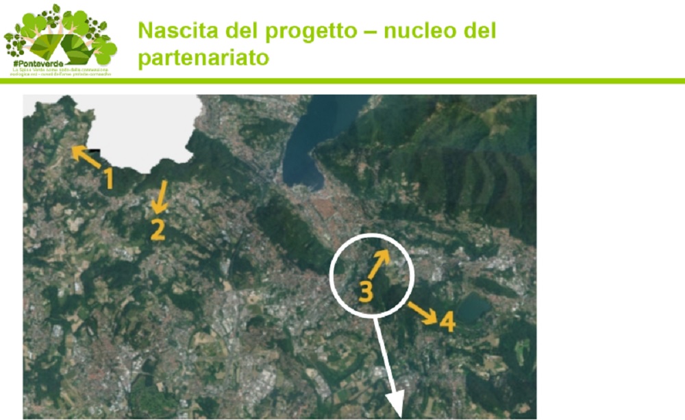 Bosco di San Martino “Central Park” comasco: il progetto che punta ai fondi di Fondazione Cariplo