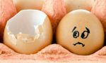 Rischio salmonella: ritirato lotto di uova fresche prodotte in Umbri
