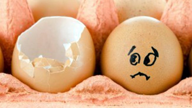 Rischio salmonella: ritirato lotto di uova fresche prodotte in Umbri