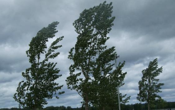 Allerta meteo per rischio idrogeologico e vento forte nel Comasco