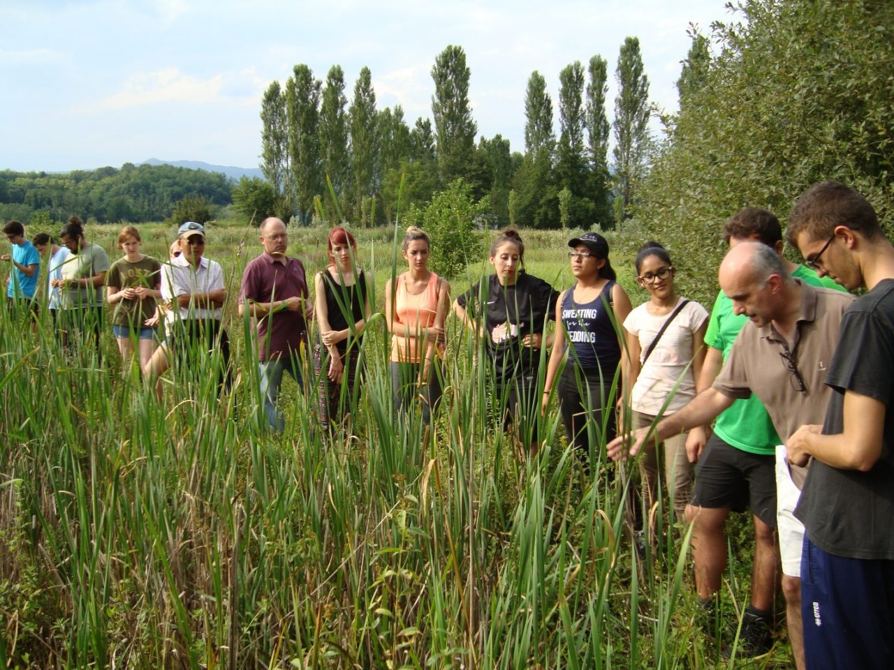 Camminata naturalistica nella Brughiera attraverso 5 Comuni