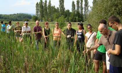 Camminata naturalistica nella Brughiera attraverso 5 Comuni