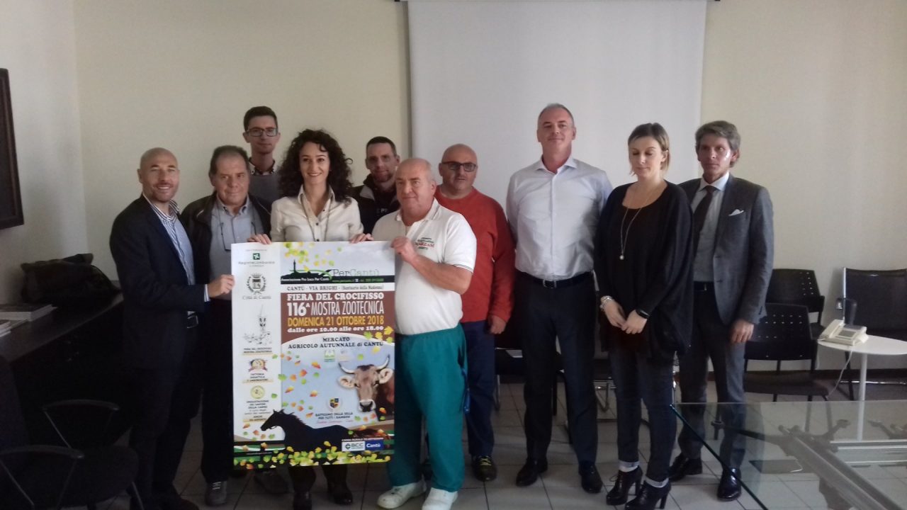 Fiera del Crocifisso via alla 116^ mostra zootecnica