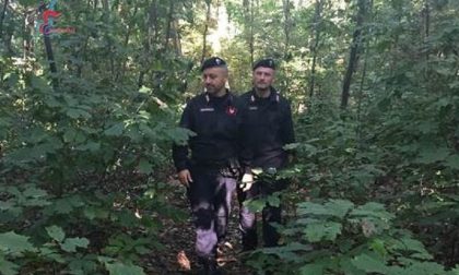 Controlli nell'Olgiatese: in motorino senza targa si dà alla fuga