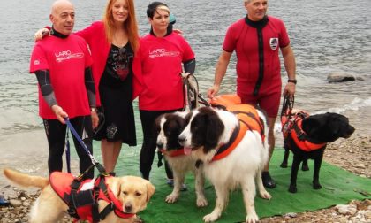 Bimbo diabetico attraversa il lago a nuoto col suo cane VIDEO