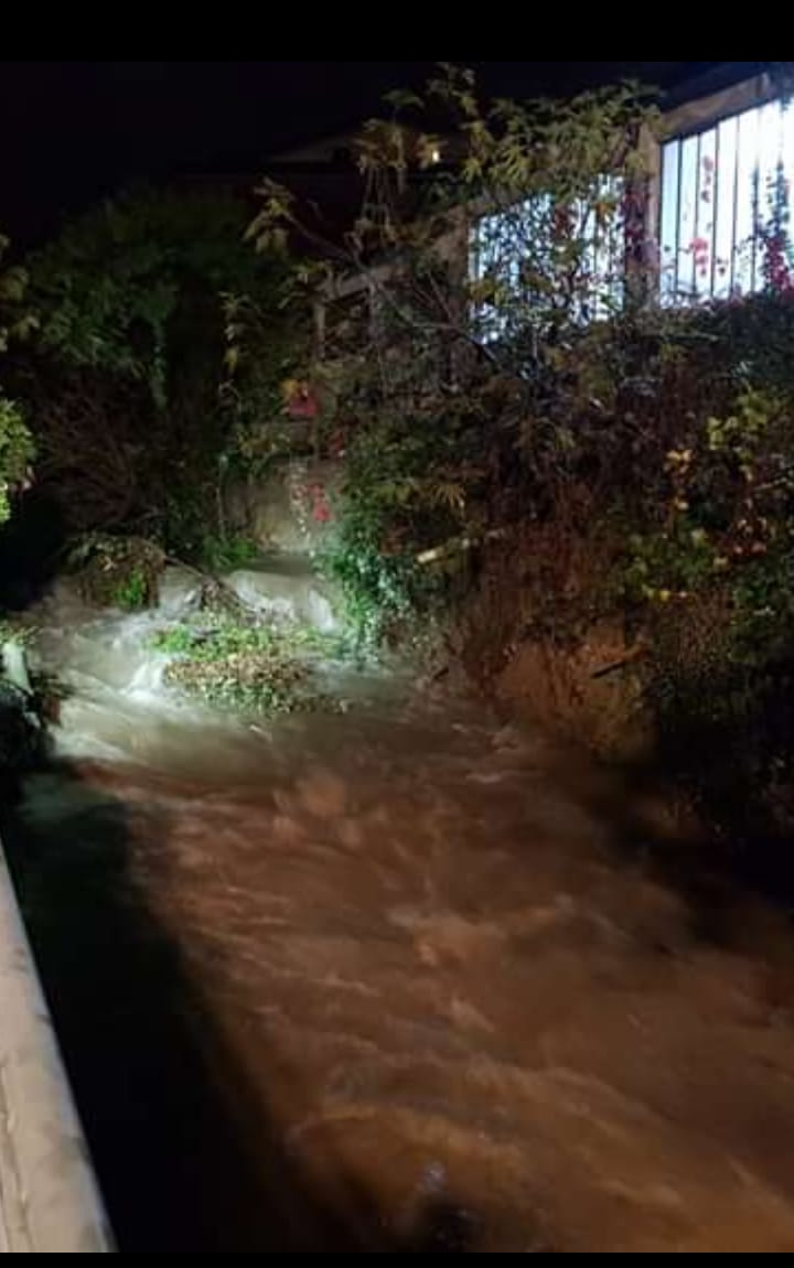 Allerta meteo, cade un albero in via Caravaggio. Roggia sotto controllo