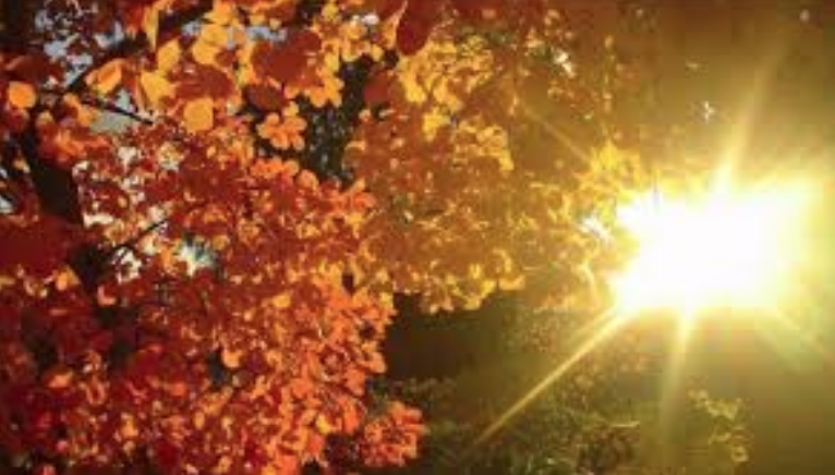 Weekend soleggiato e fresco al mattino PREVISIONI METEO