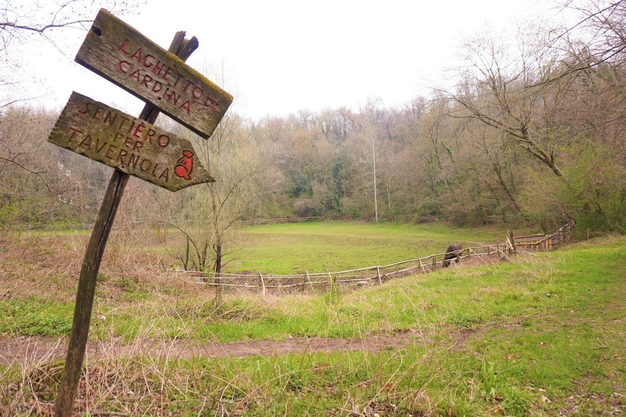 Passeggiate culturali a Como: riscoprire il Setificio e Sulle orme di Volta 2