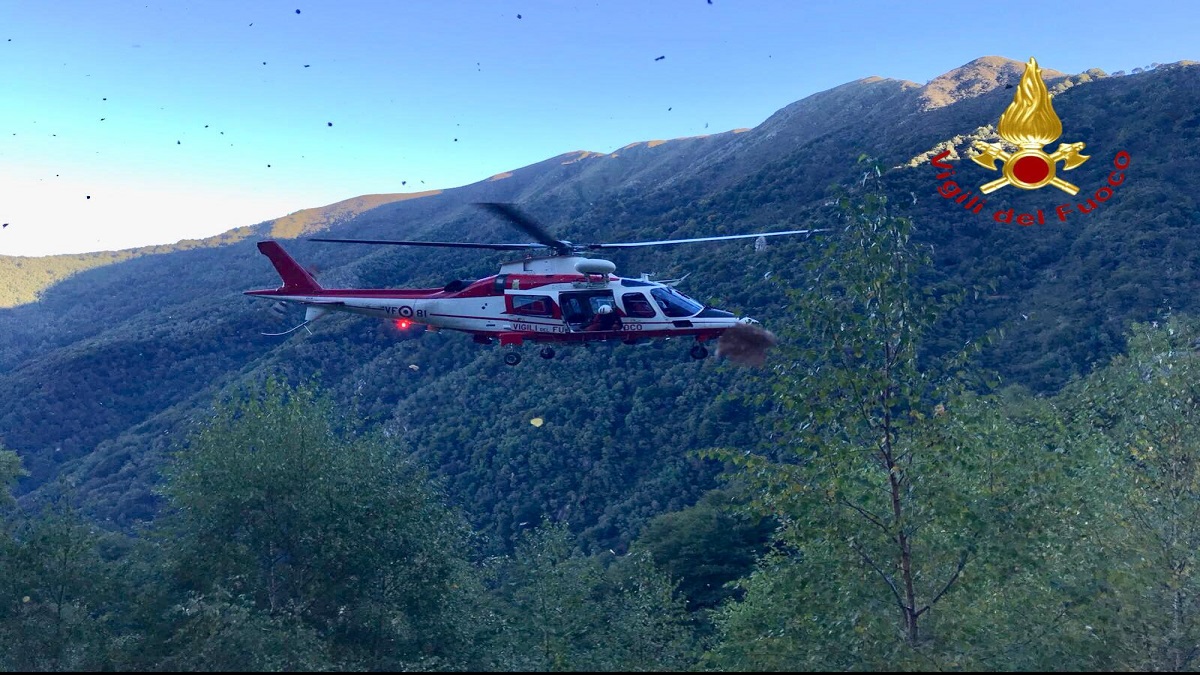 Trovato morto il pastore canturino scomparso FOTO