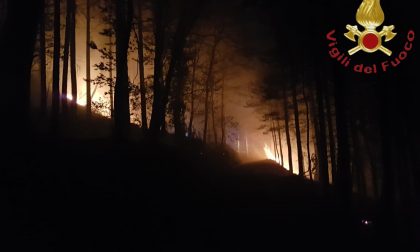Incendio a Stazzona il bosco va in fiamme FOTO