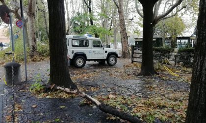 Super lavoro per i soccorritori: in Lombardia 33mila chiamate al 112 FOTO