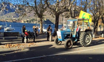 Etichetta d'origine sugli alimenti: ricadute importanti per il made in Lario