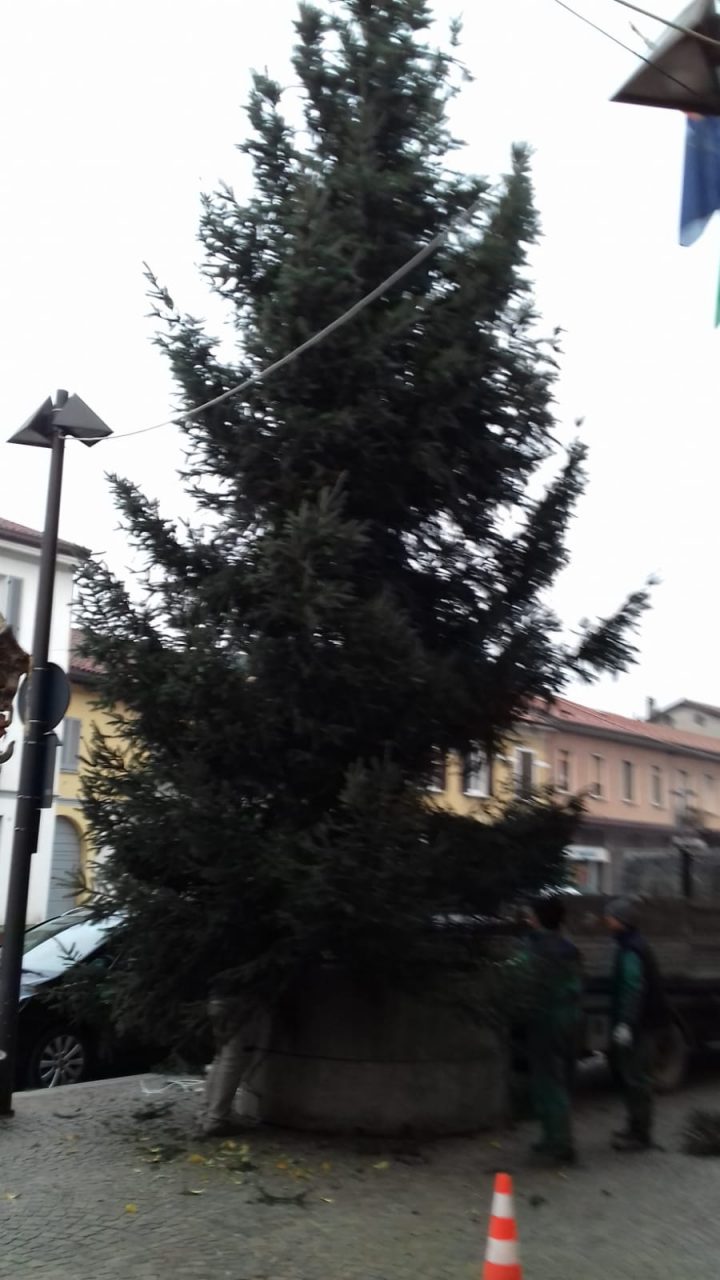 Allestito l’Albero di Natale a Mariano