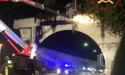 Vigili del Fuoco sull'autostrada A9 per un albero pericolante FOTO